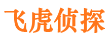 滨湖外遇调查取证